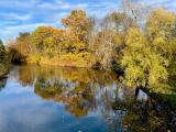 Natur 2