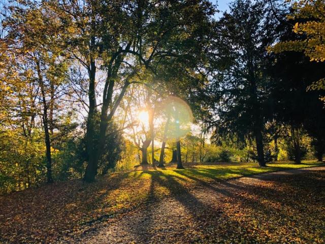 Natur 1