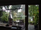 Blick in den Garten