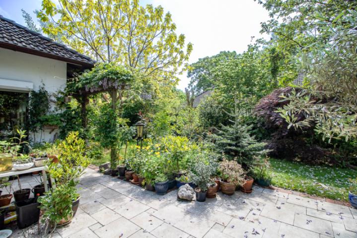 Blick in den Garten