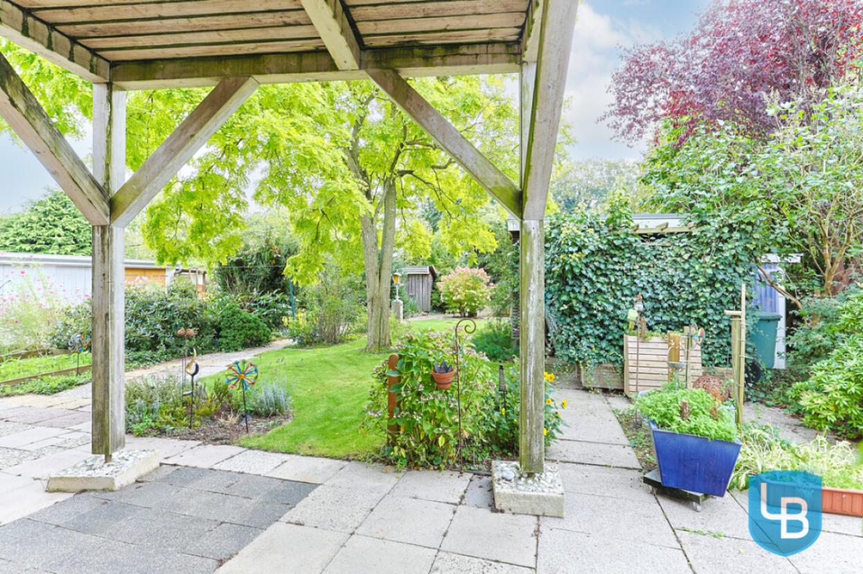Blick in den Garten