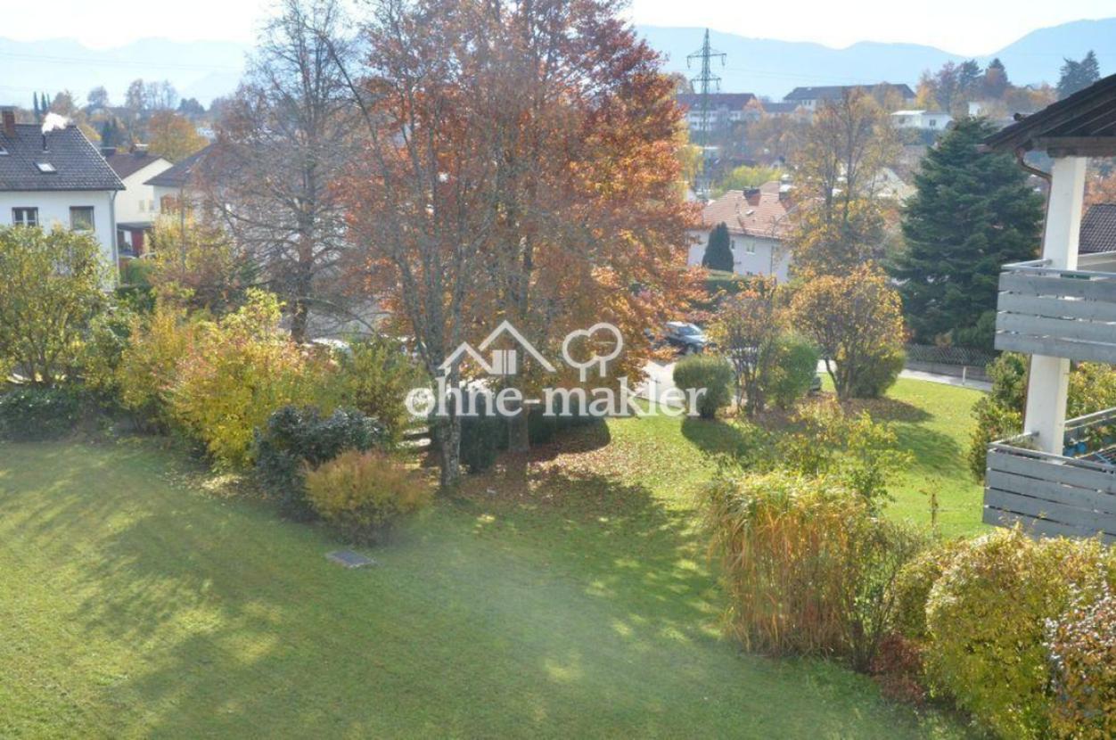 Blick in den Garten 