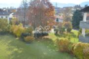 Blick in den Garten 