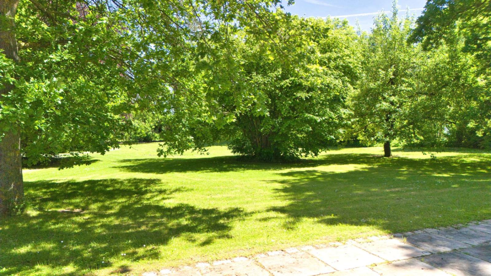 Blick in den Garten