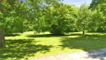 Blick in den Garten