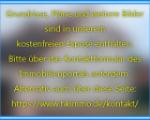 Bitte weitere Informationen zum Objekt über das Kontaktformular anfordern