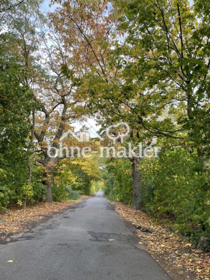 Strasse nach Kleinbeeren 