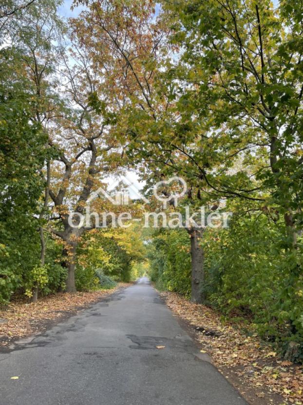 Strasse nach Kleinbeeren 
