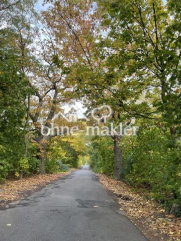 Strasse nach Kleinbeeren 