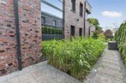 Naturteich u. befestigte Terrassenzuwegung