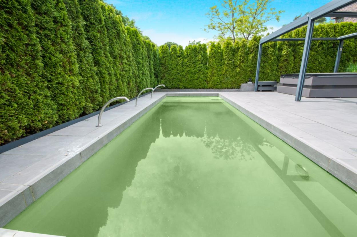 Zeitgemäßer u. nachhaltiger Naturpool
