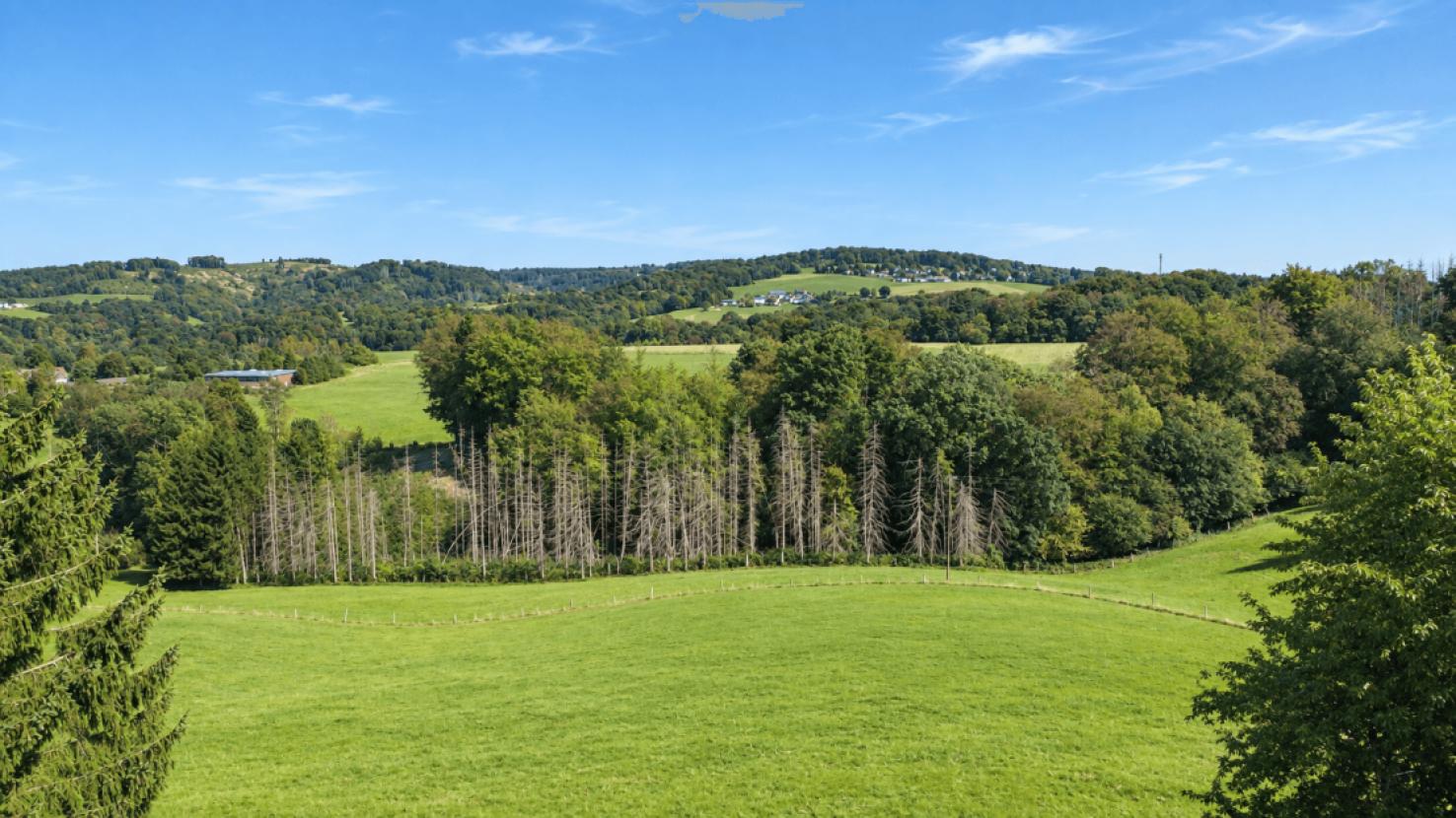 Aussicht