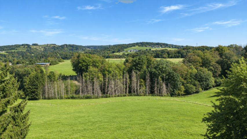 Aussicht
