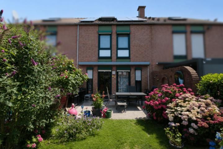 Gebäudeansicht Garten