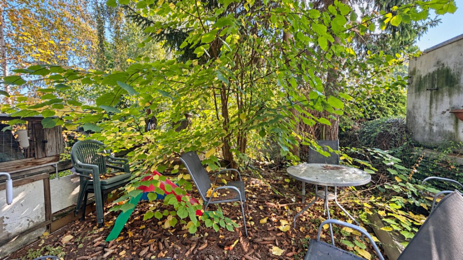 Garten / Terrasse