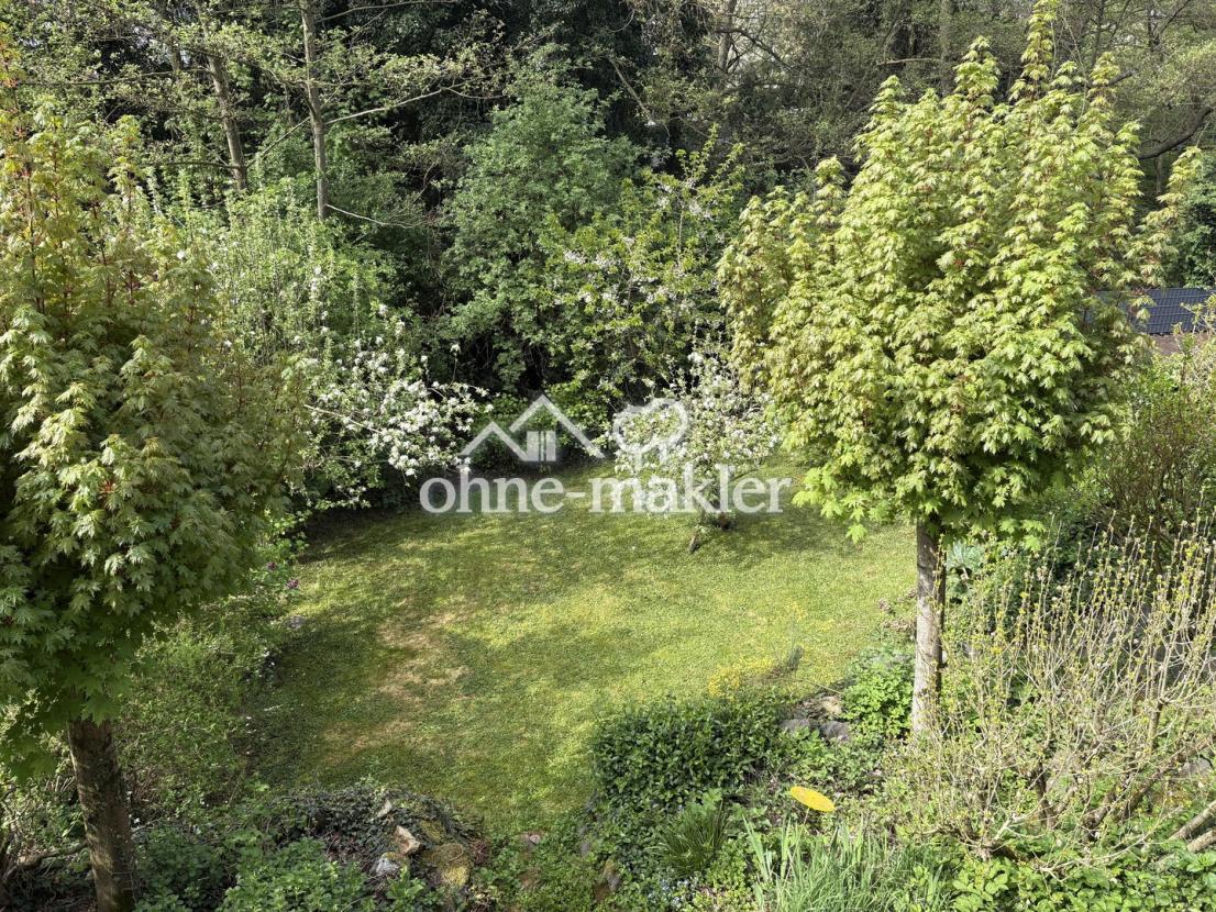 Blick in den Garten