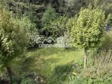 Blick in den Garten