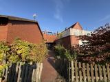IMG_3526 (1)