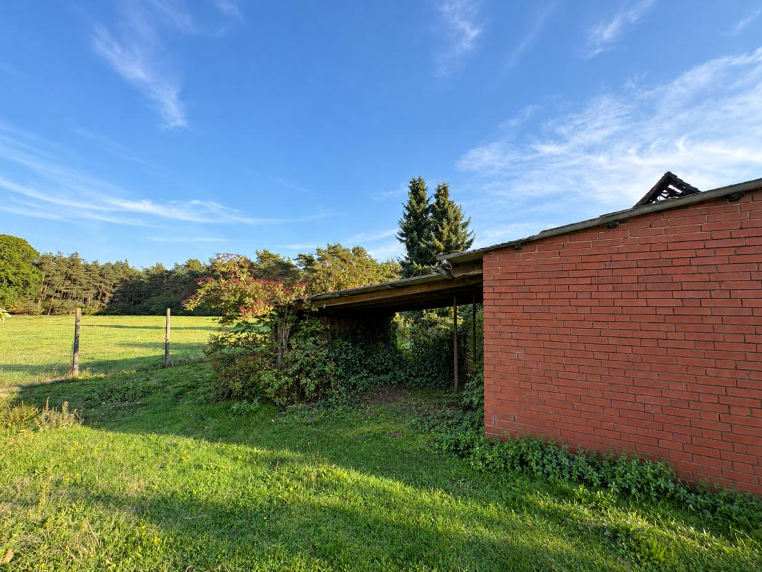 Verwitterter Garten nach vorsichtiger Entrümpelung