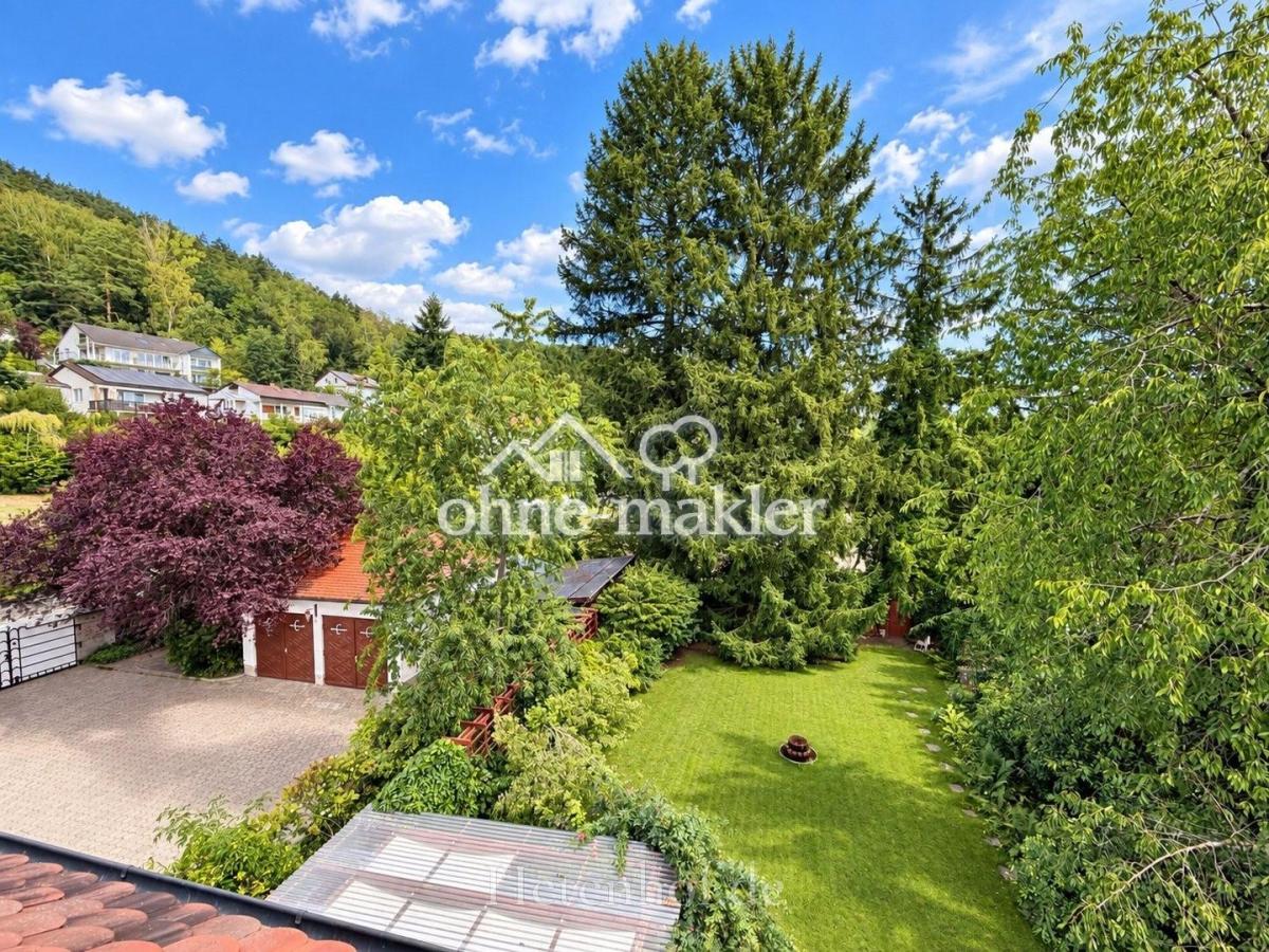 Blick  Rosengarten + Garagen