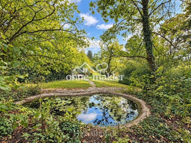 Teich im denkmalgesch. Garten