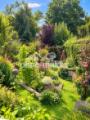 Blick in den Garten