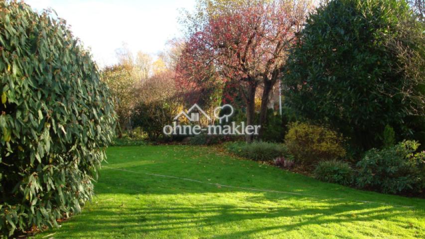Gartenblick nach Hinten