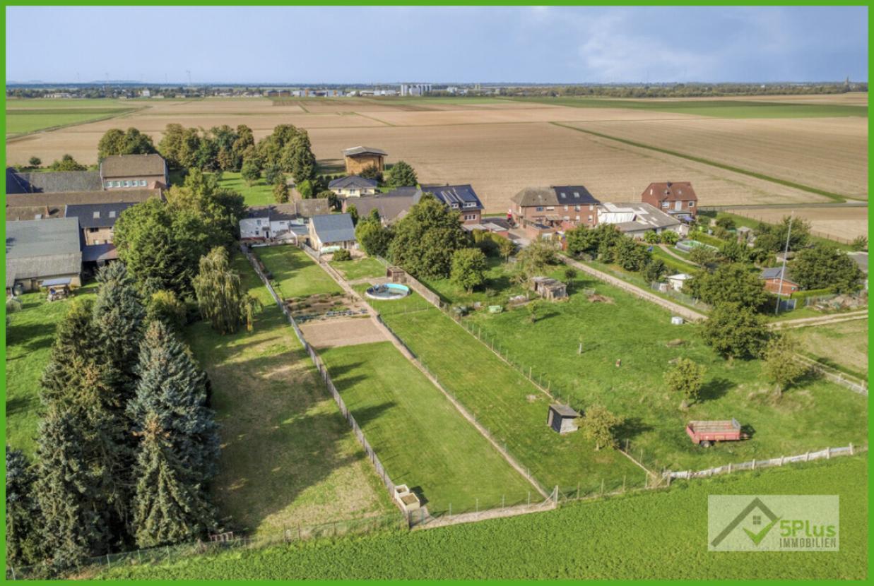 5Plus Immo Haus zum Kauf Titz / Kalrath