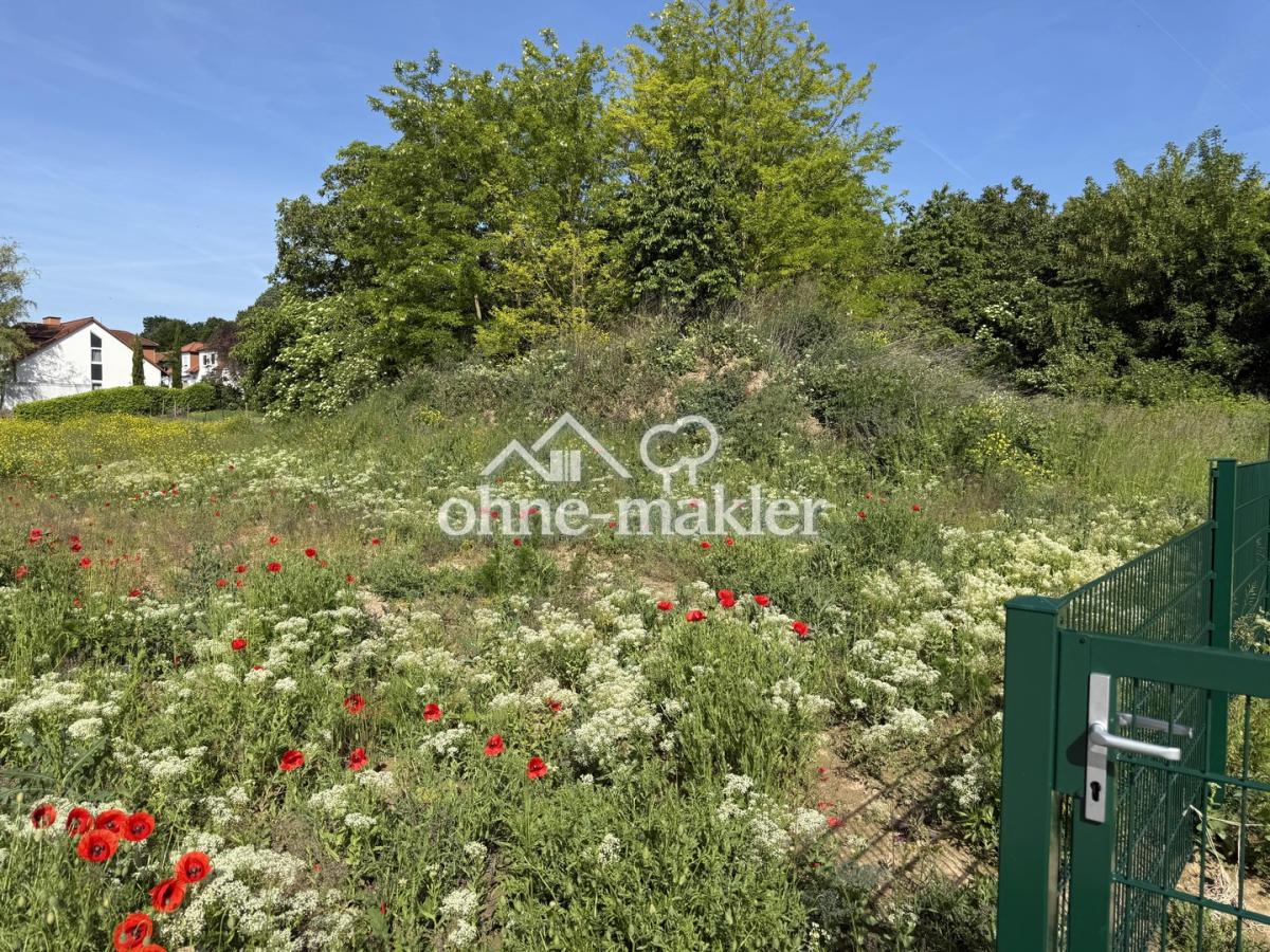 Unverbaubare Lage im Grünen