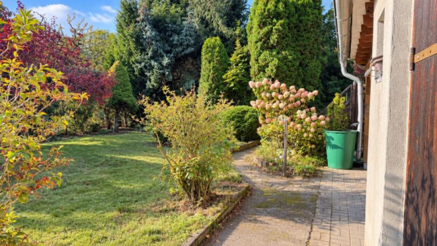 Blick in den Garten