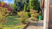 Blick in den Garten