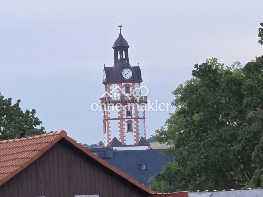 Blick auf Schloss Ehrenstein
