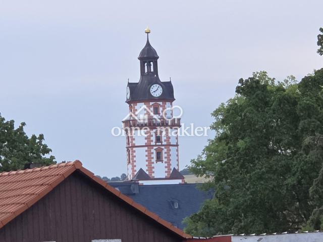 Blick auf Schloss Ehrenstein