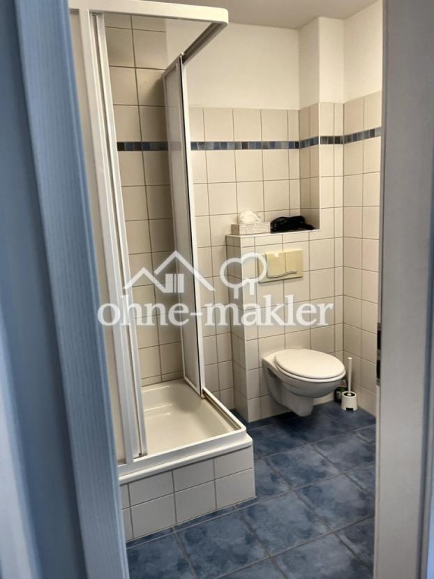 Gästebad unten mit Dusche