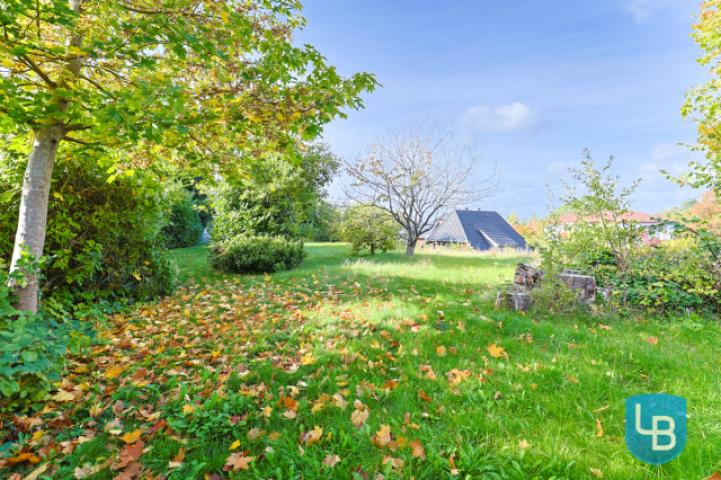 Garten auf dem Hang