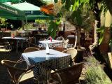 Biergarten unterm Feigenbaum