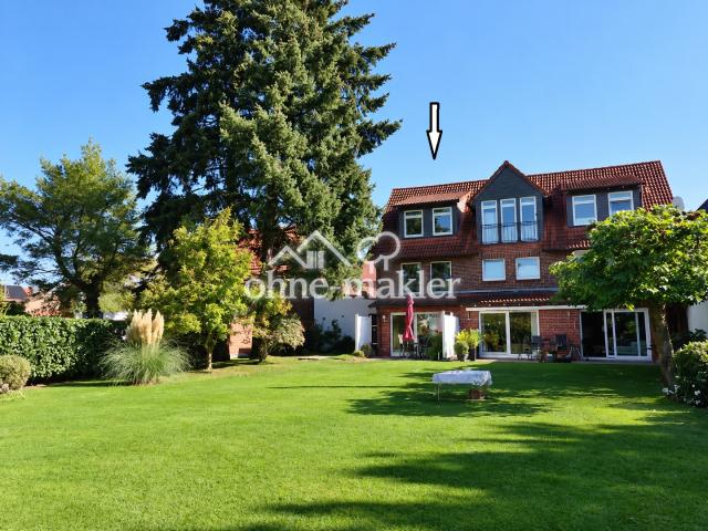 Haus von hinten
