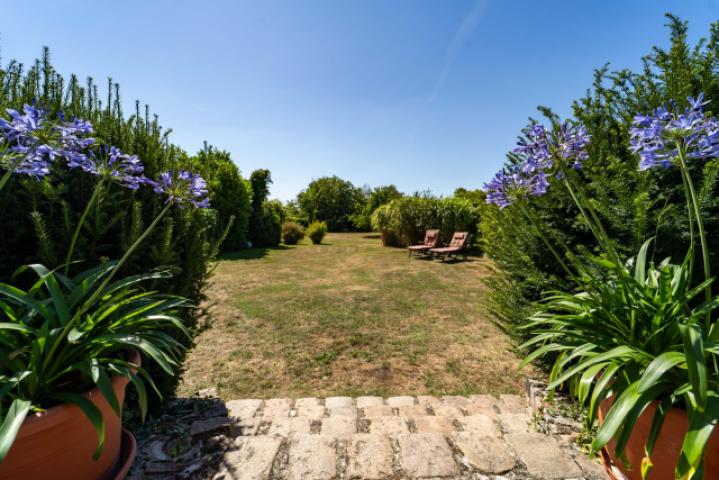 Blick in den Garten