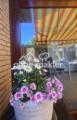 Terrasse und Wintergarten