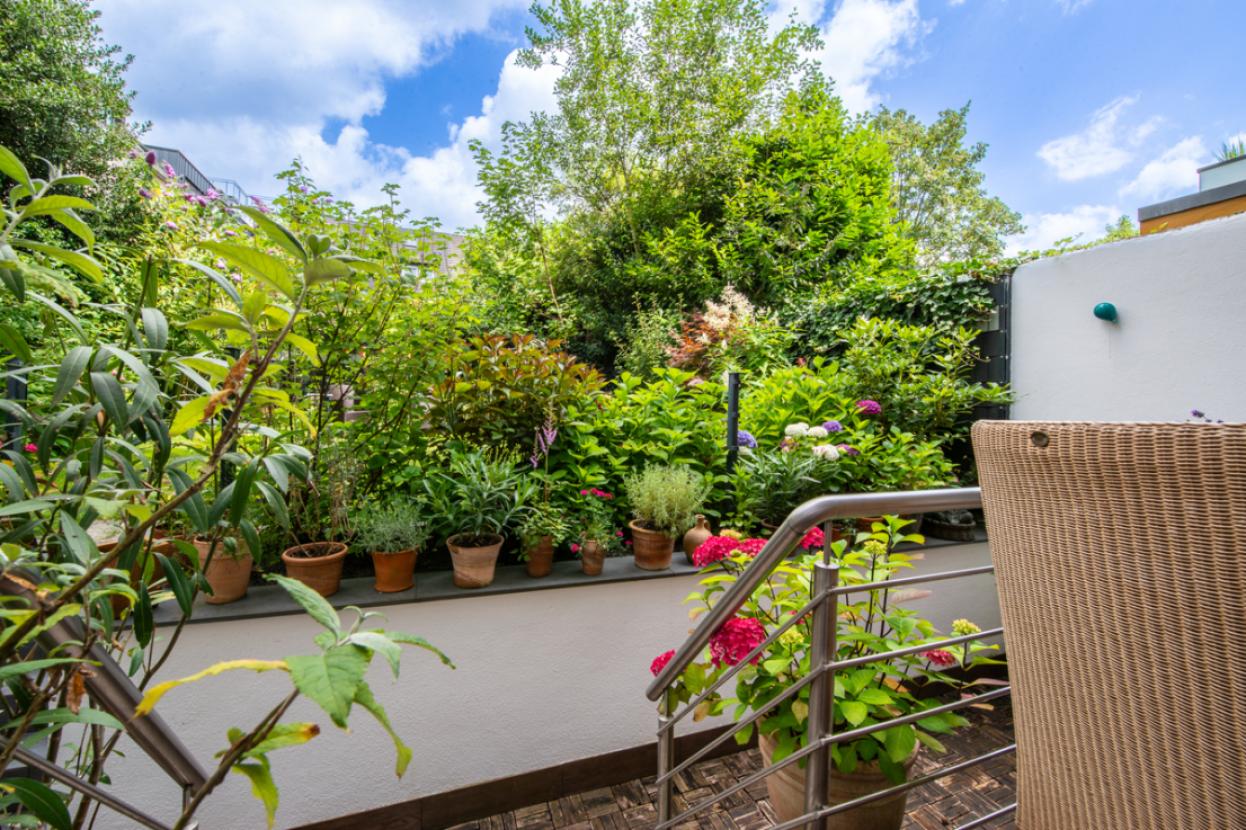 Blick in den Garten