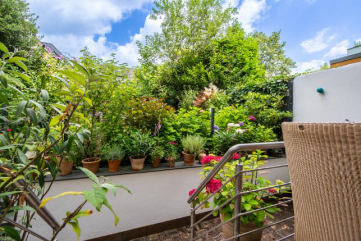 Blick in den Garten