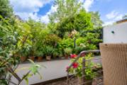 Blick in den Garten
