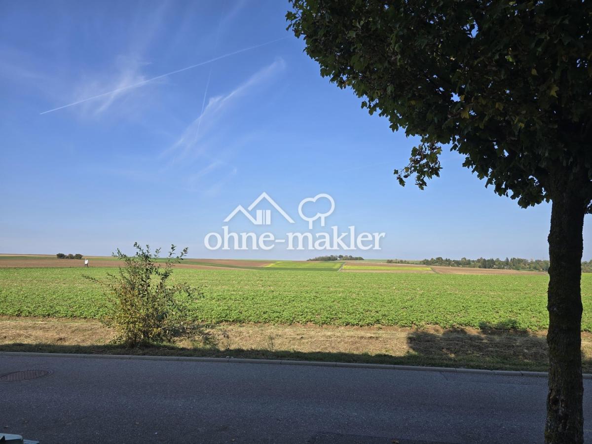 Ausblick 