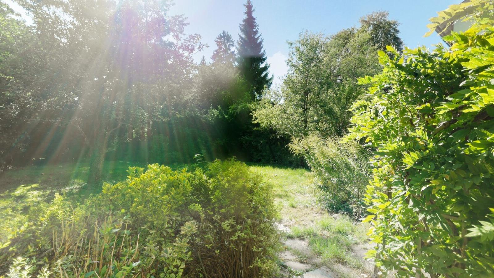 Impressionen