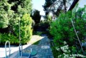 schön eingewachsener Garten
