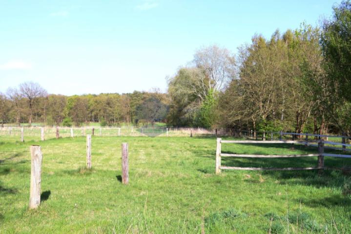 Weidefläche