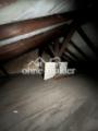 Dach
