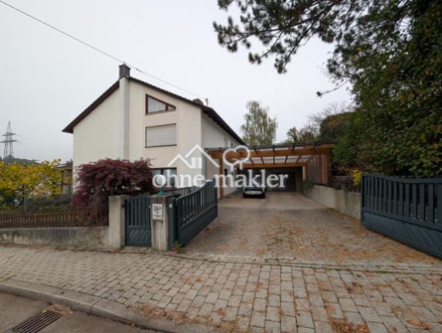 Hofeinfahrt elektr. Tor