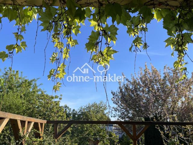 Blick von der Terrasse