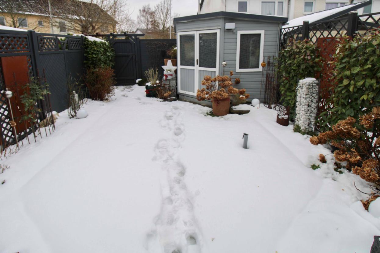 Gartenbereich